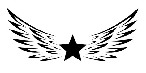 Star with Wings vector