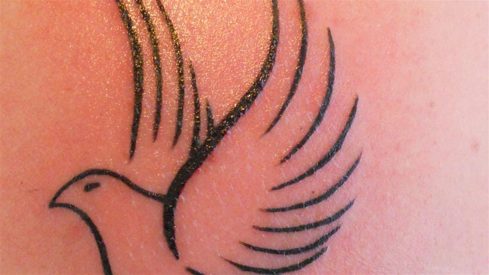 my_dove_tattoo__by_chrisbeeblack_d5hht4p-fullview